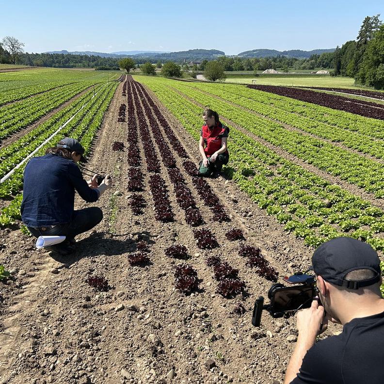 Advertising, Publication, Produce