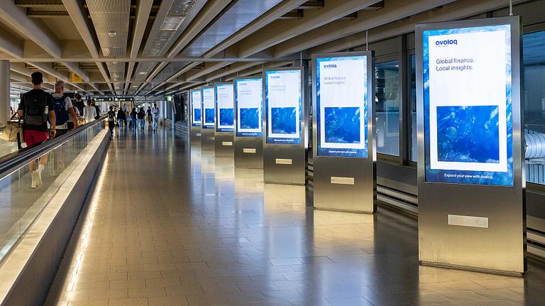 Eyewear, Eyebrow, Glasses (1 Person)